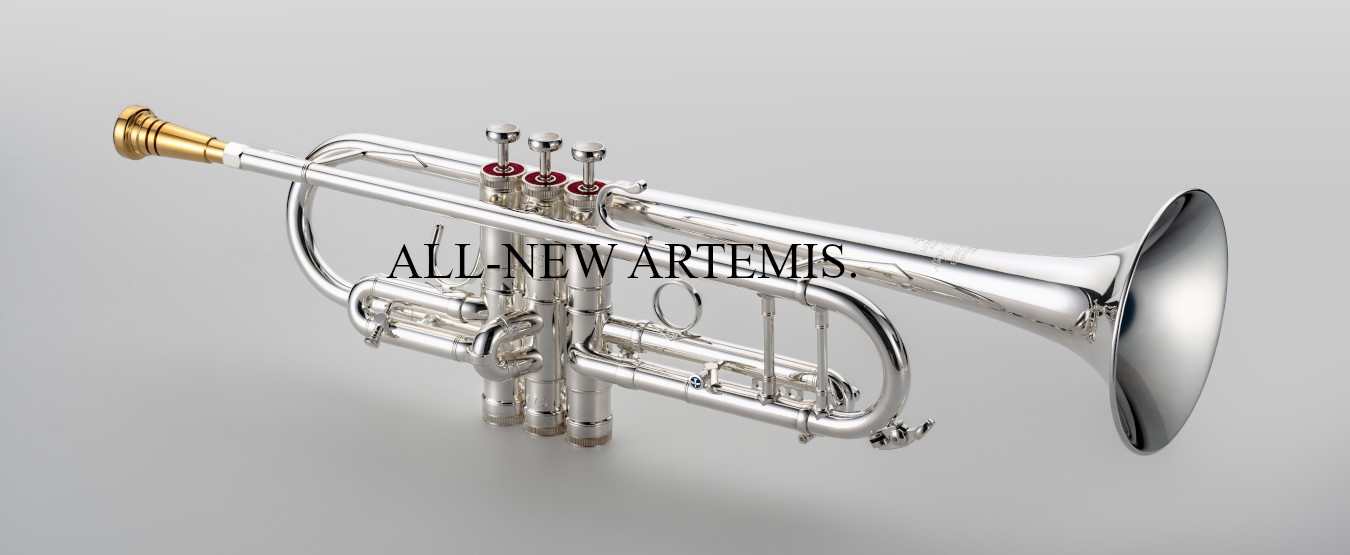 Brass Innovations Gerico Sound-assist 2-in acciaio inox per tromba 